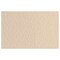 Fabriano Tiziano Drawing Paper, 20 in x 26 in, 98 lb./ 160 gsm, Pack of 10